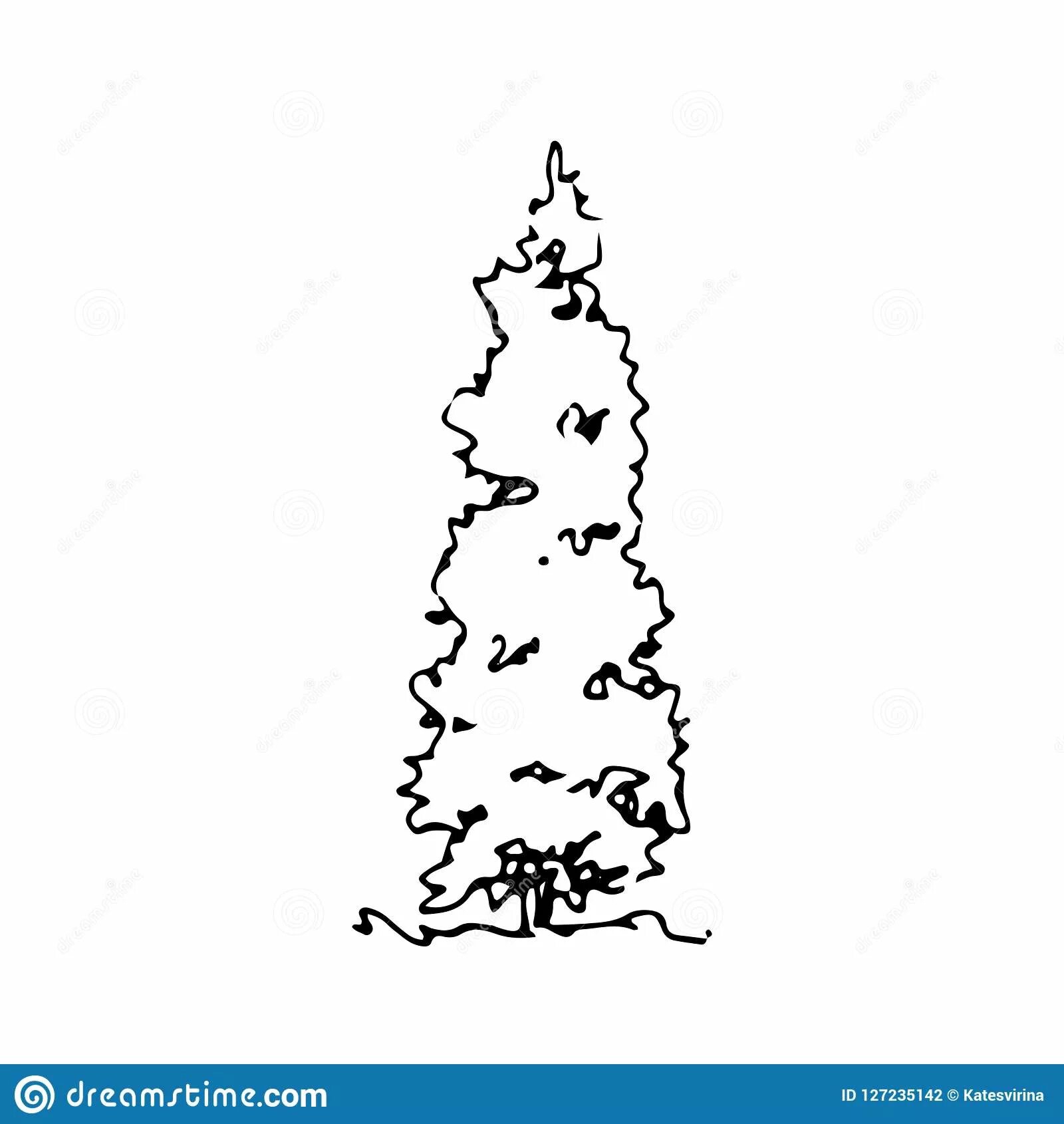 Раскраска Интригующая раскраска туи