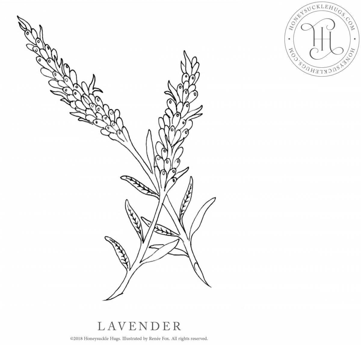 Photo Delightful sage coloring