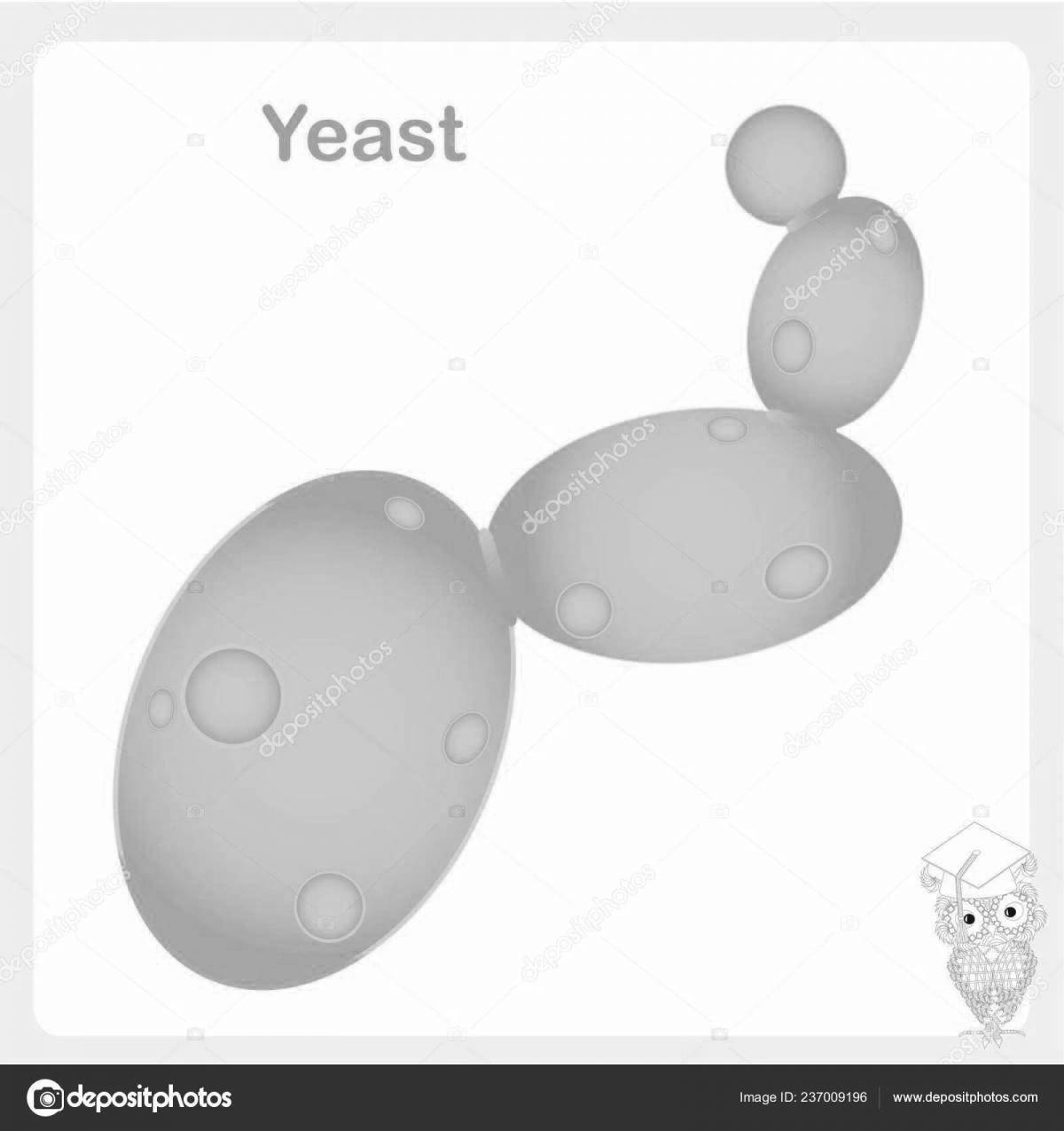 Fun yeast coloring