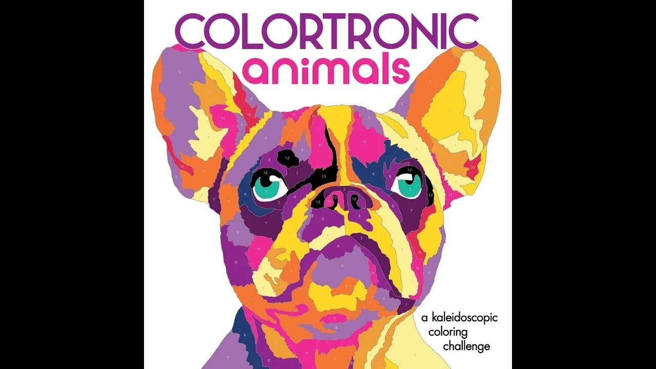 Colortronic #13