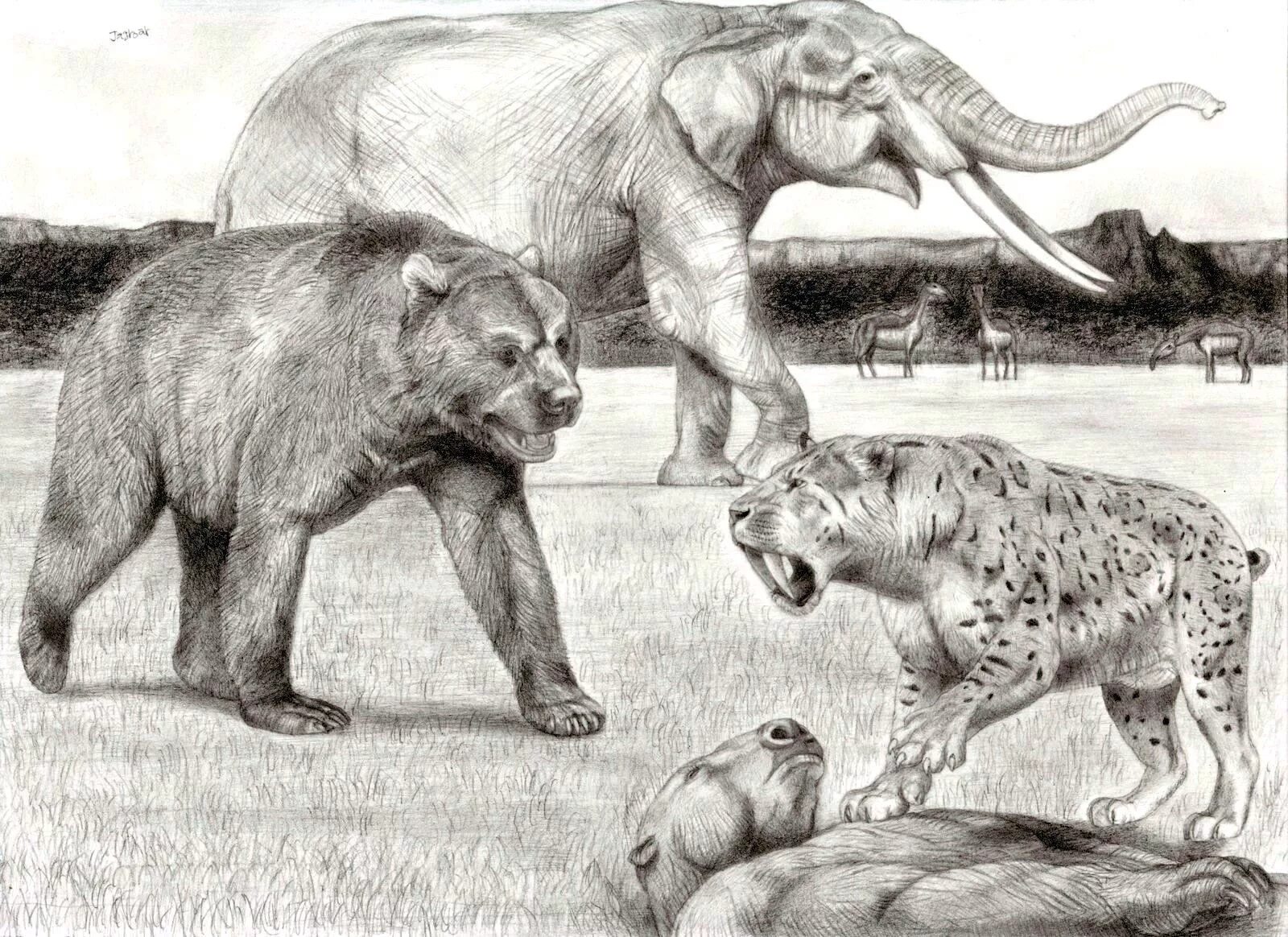 Smilodon playful coloring page