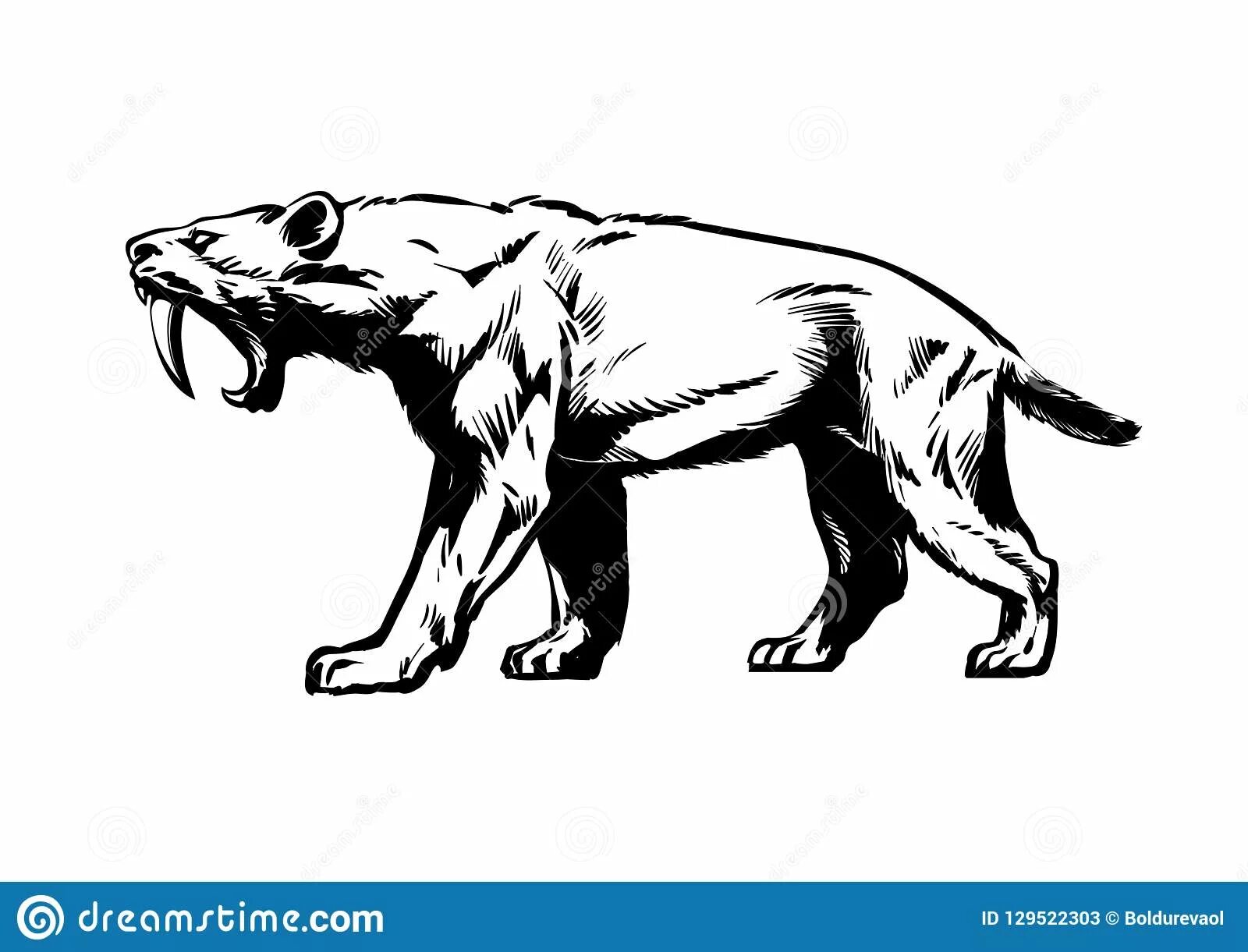 Intricate smilodon coloring page