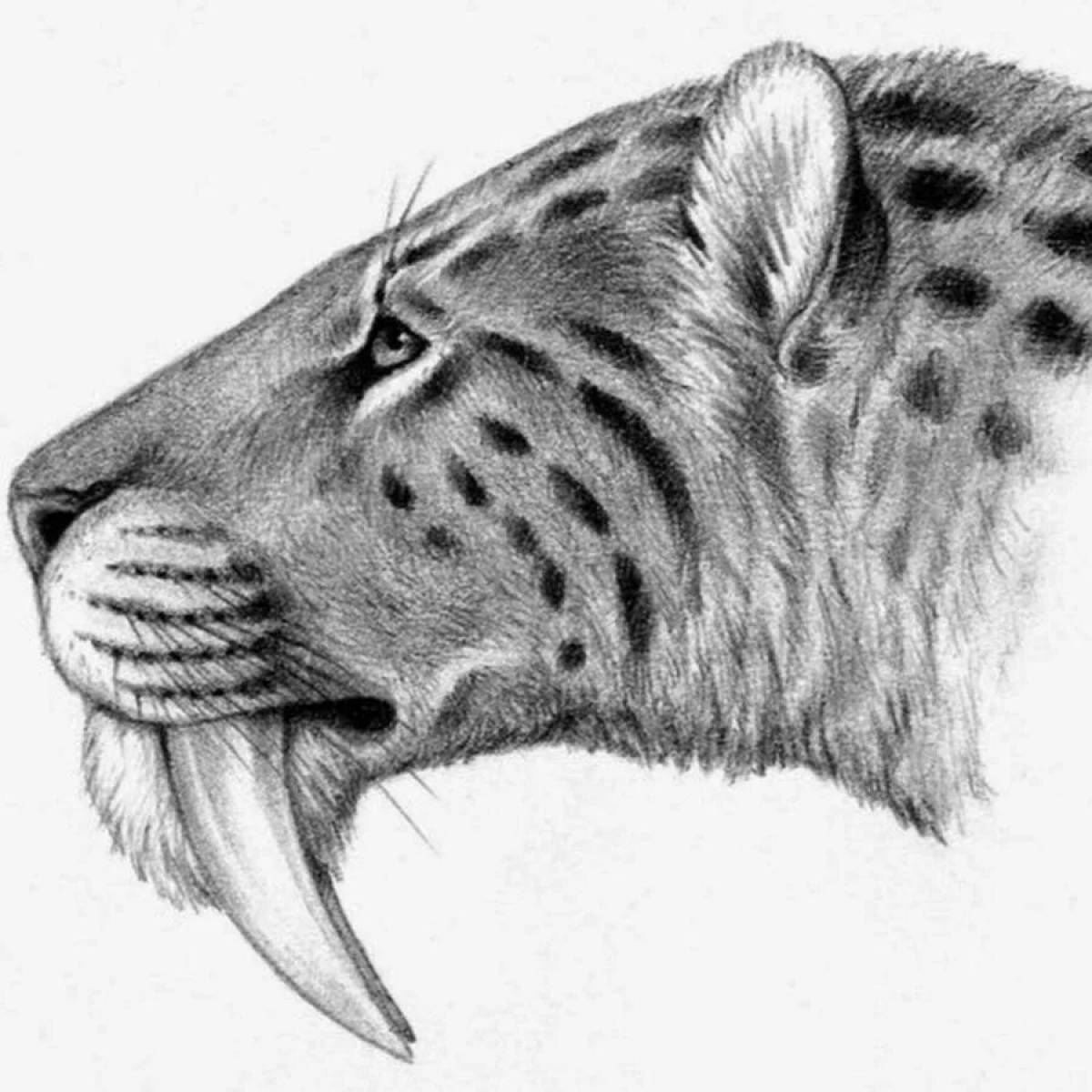 Coloring page charming smilodon