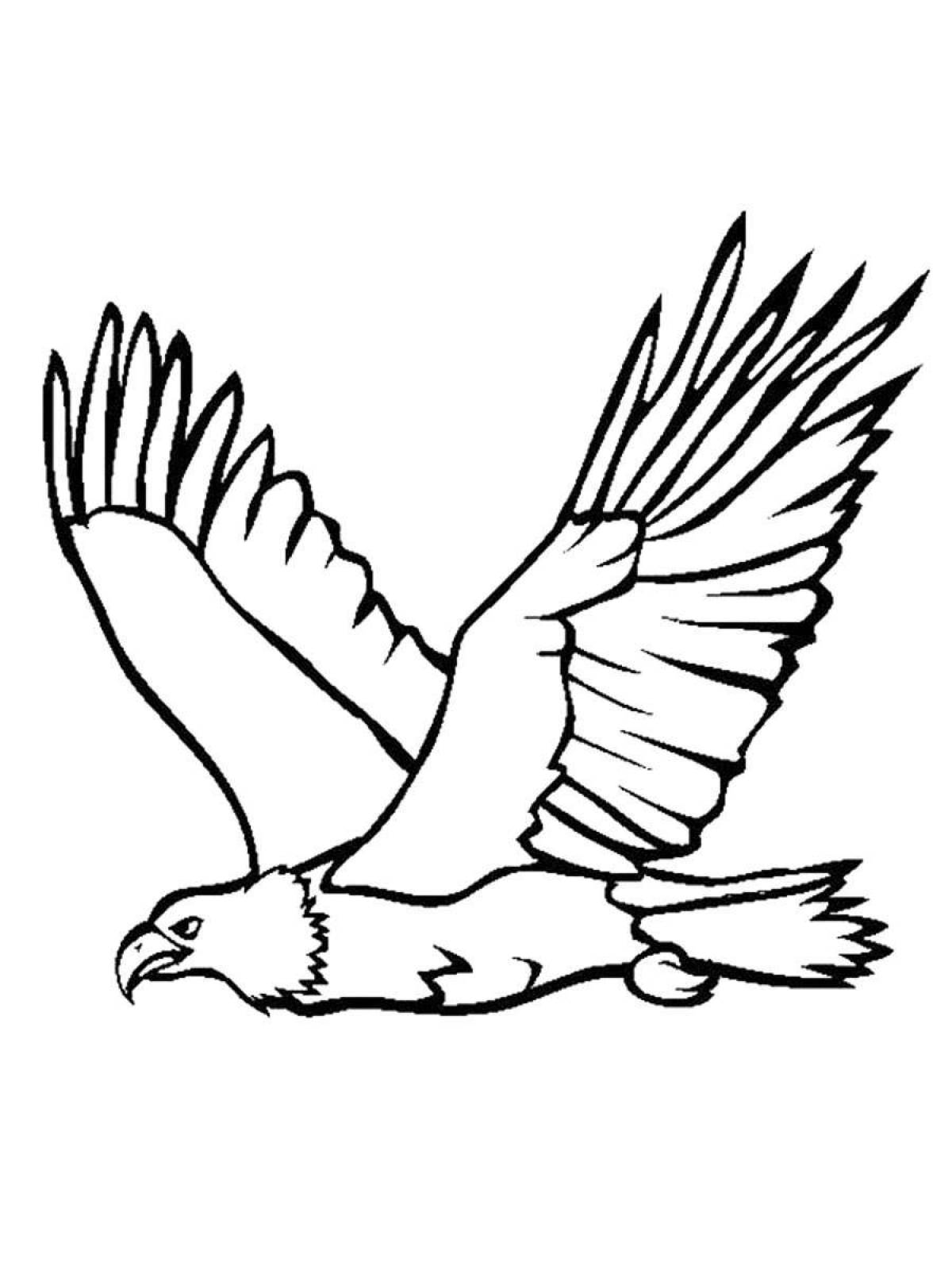Coloring radiant eaglet