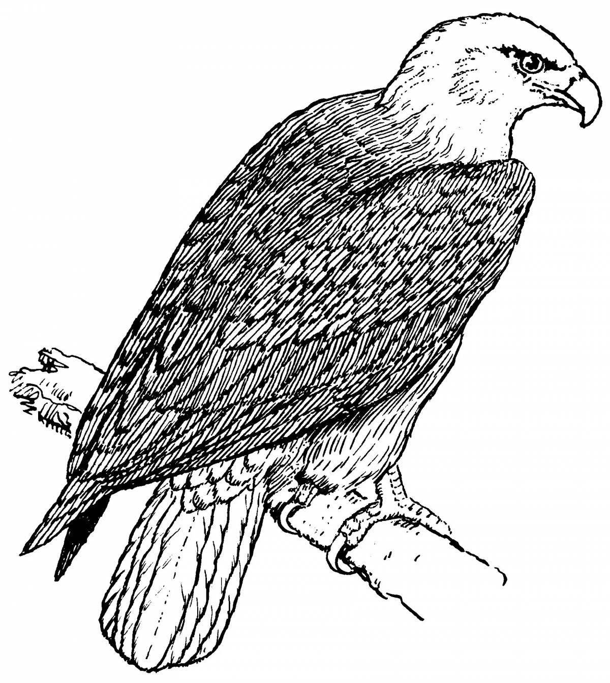 Coloring page joyful eaglet