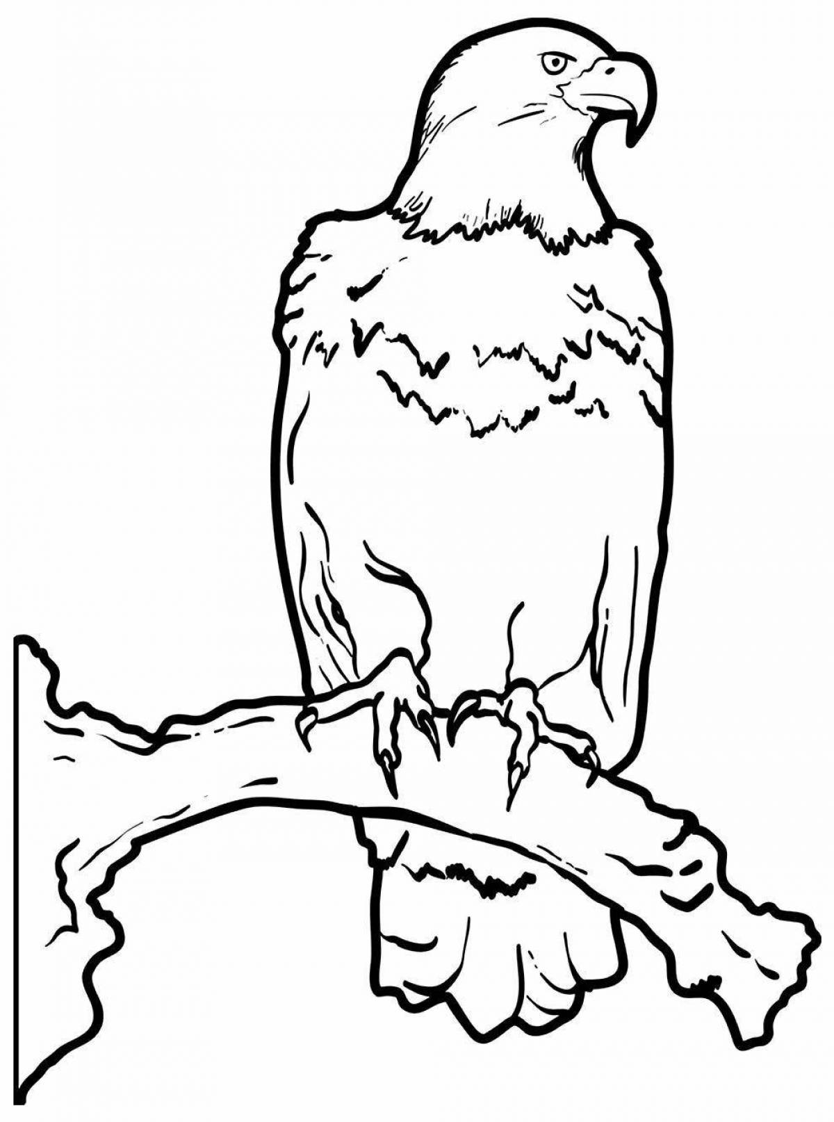 Coloring beckoning eaglet