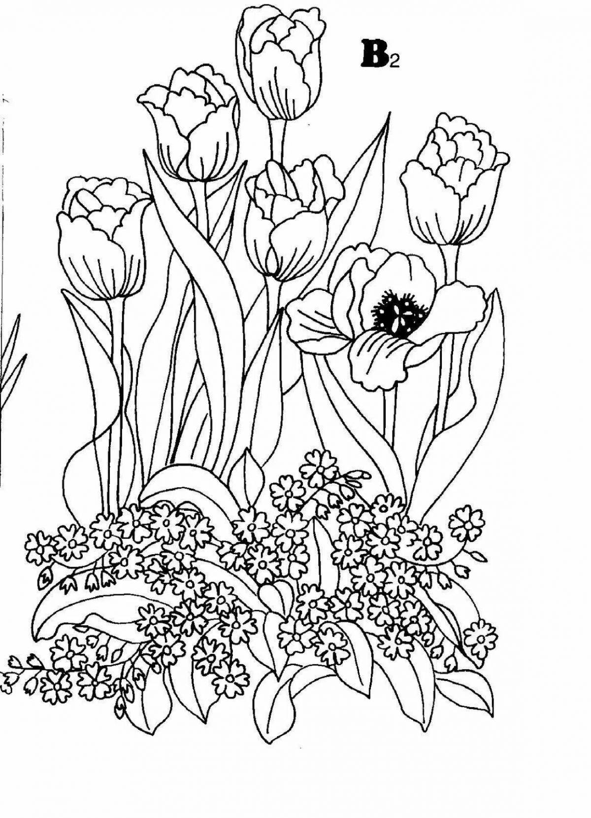 Colorful composition coloring book