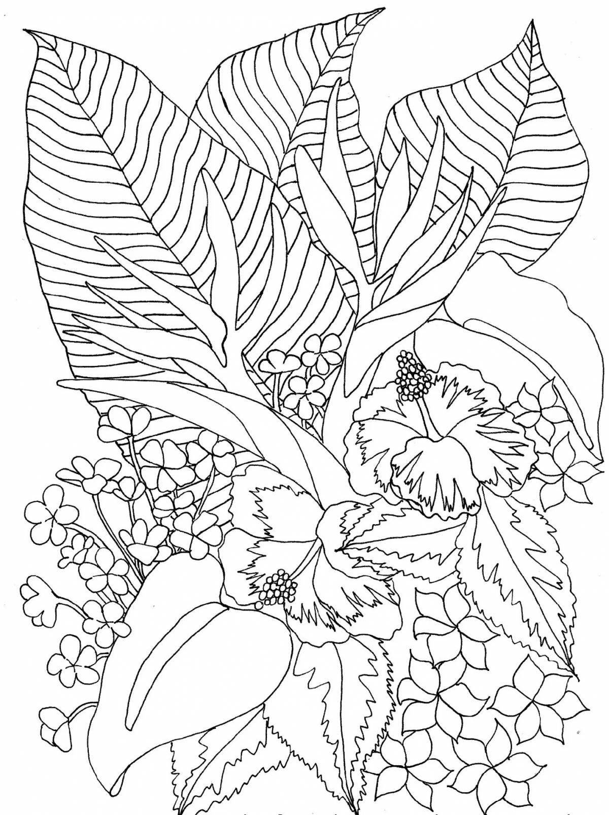 Composition coloring page color-frenzy