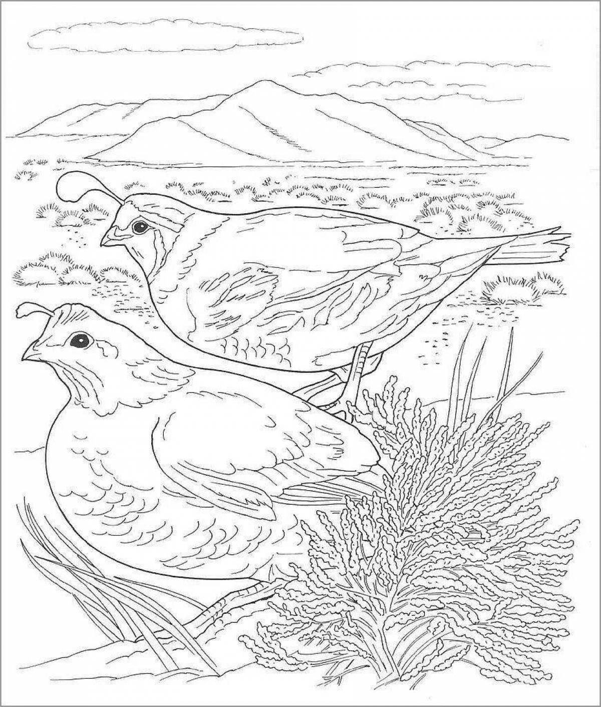 Coloring book cheerful partridge