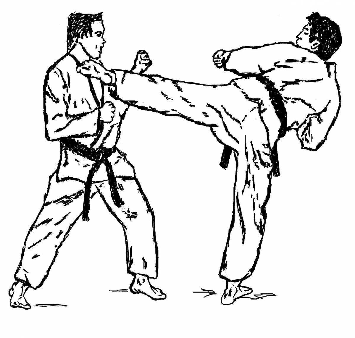 Outstanding taekwondo coloring page