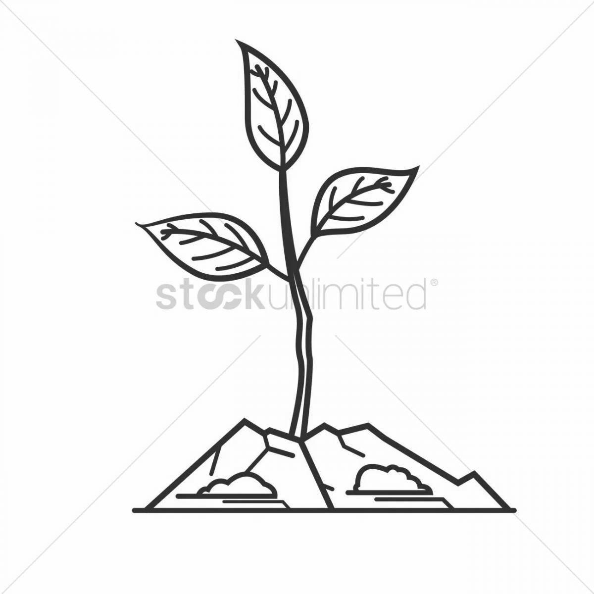 Радостная раскраска росток