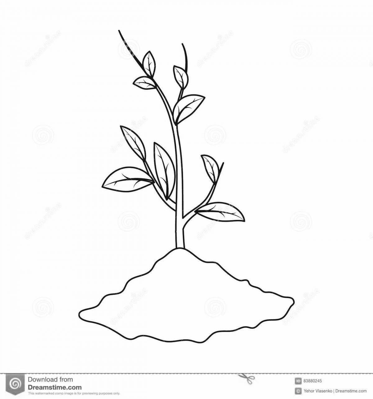 Восхитительная раскраска росток