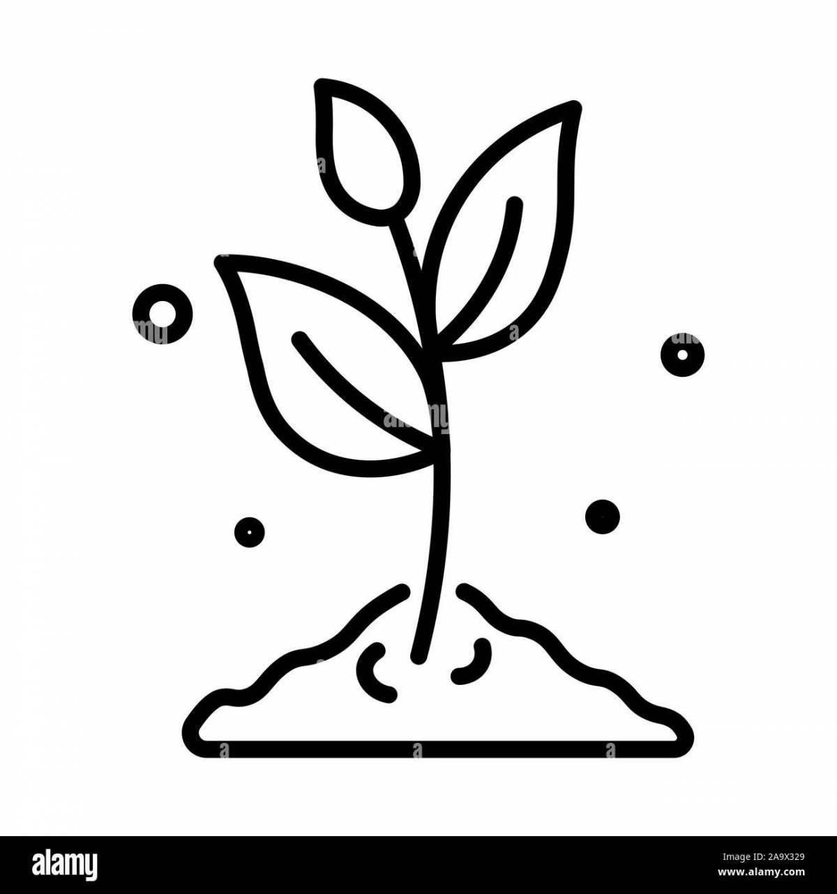 Светящаяся раскраска sprout