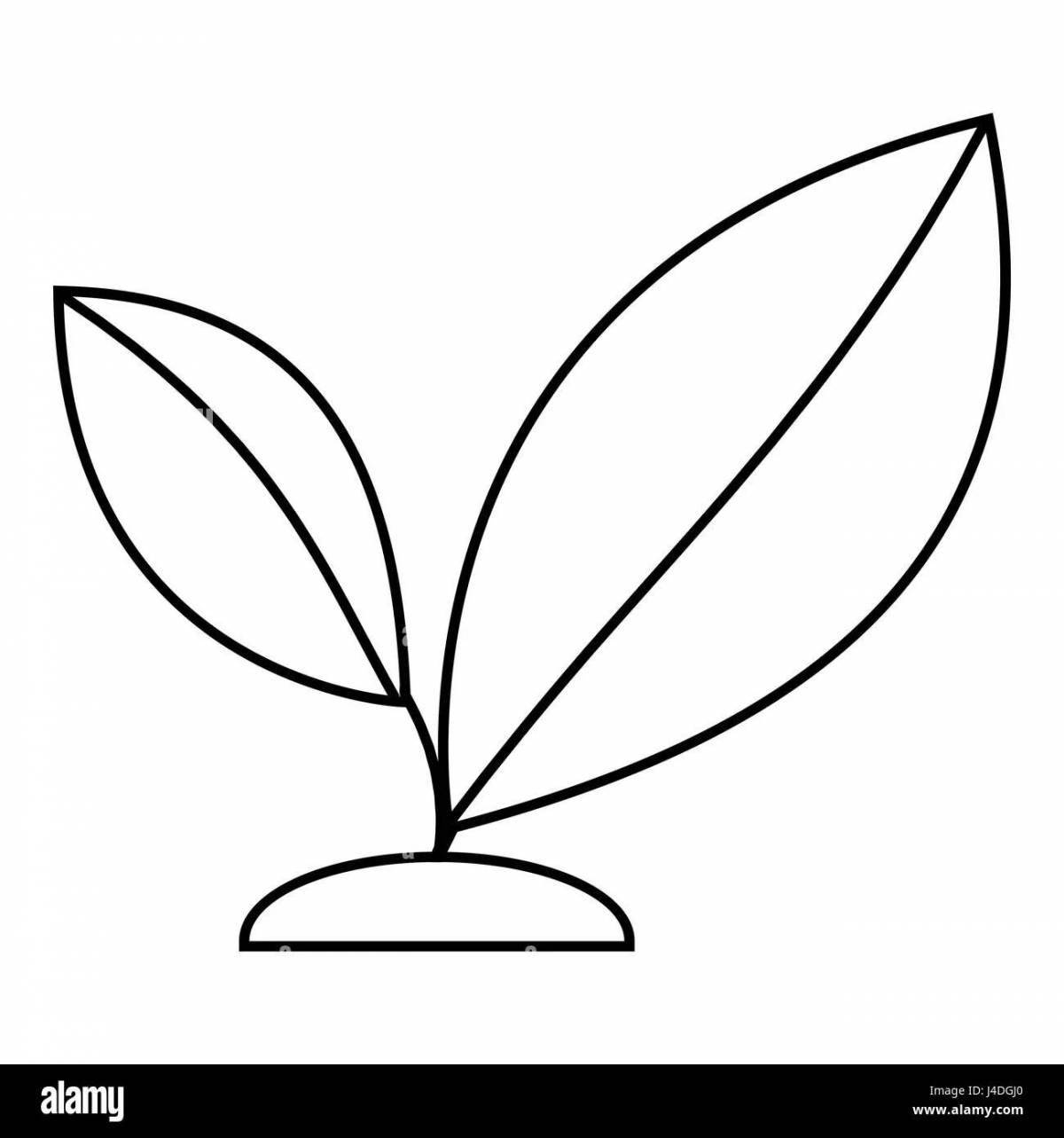 Живая раскраска росток