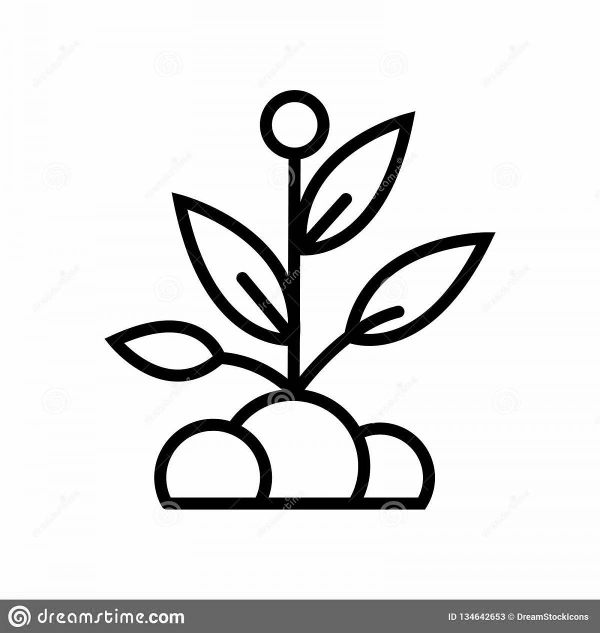 Сияющая раскраска росток