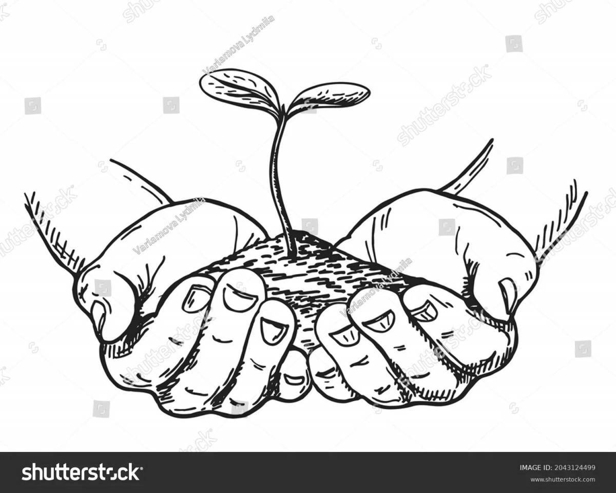 Очаровательная раскраска росток