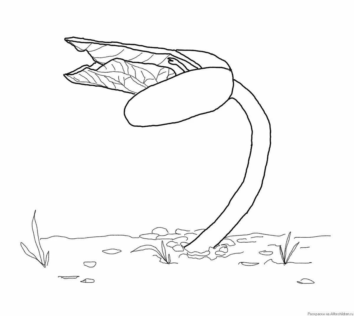 Забавная раскраска росток