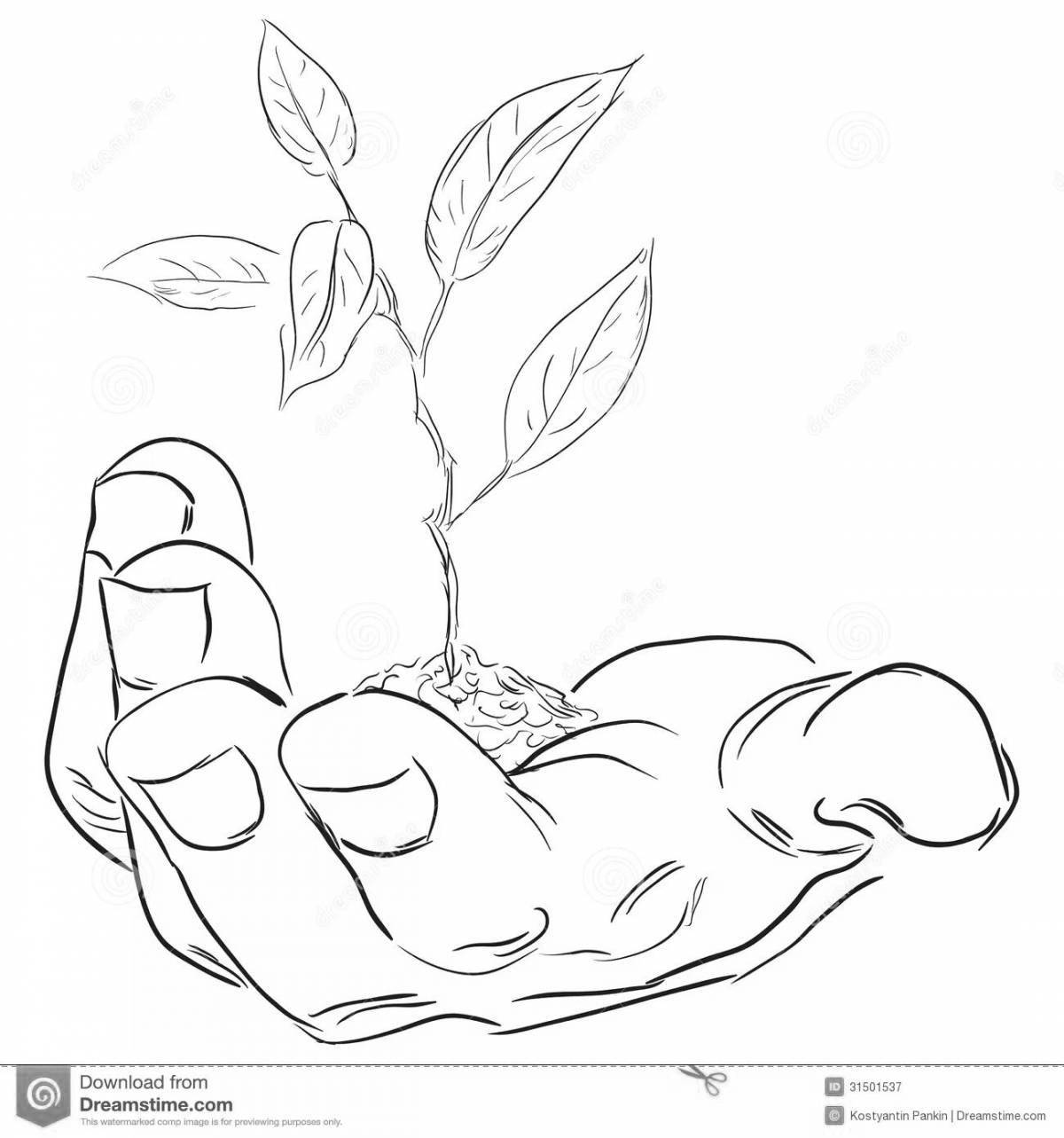 Приятная раскраска sprout