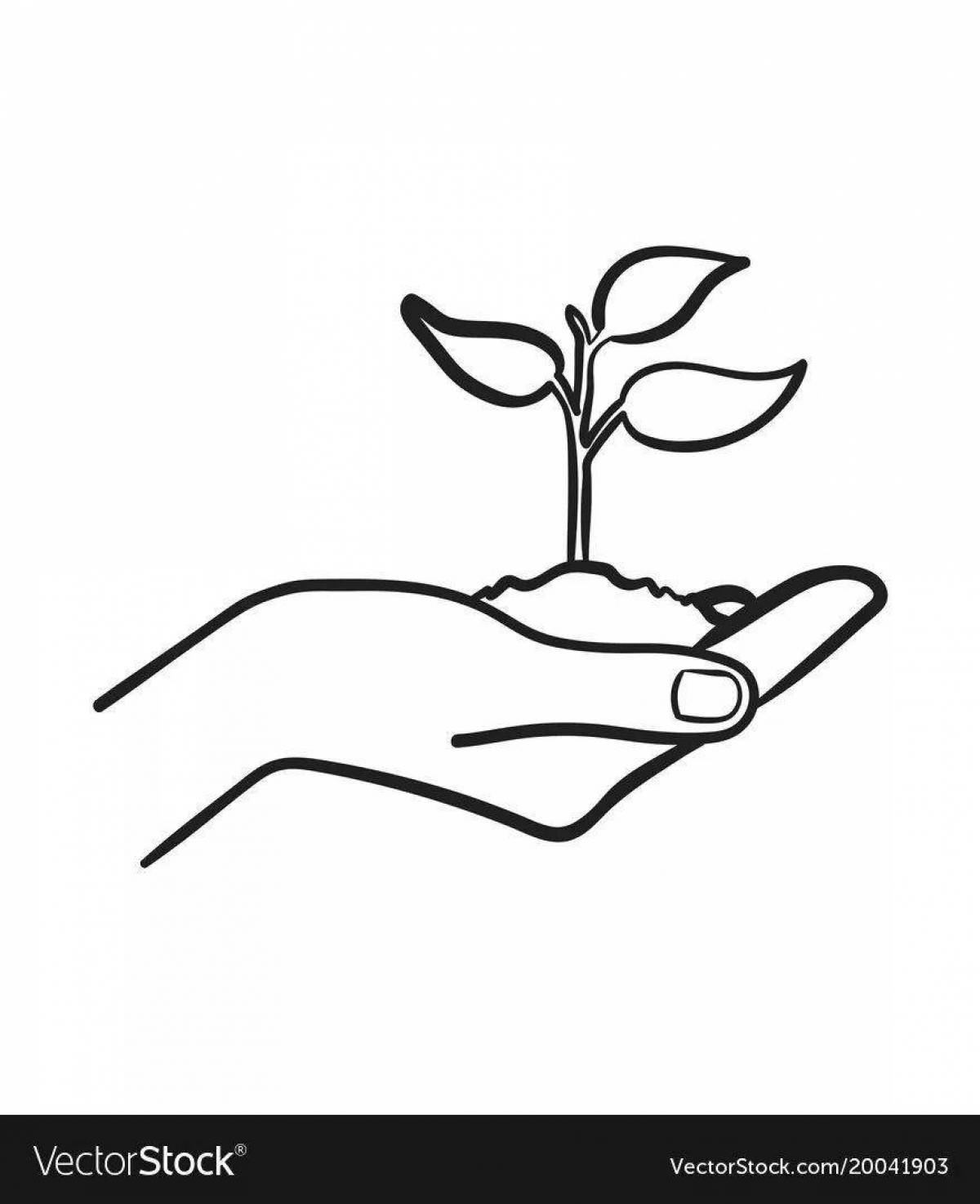 Обаятельная раскраска росток