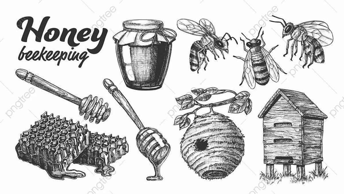 Creative beekeeper coloring book