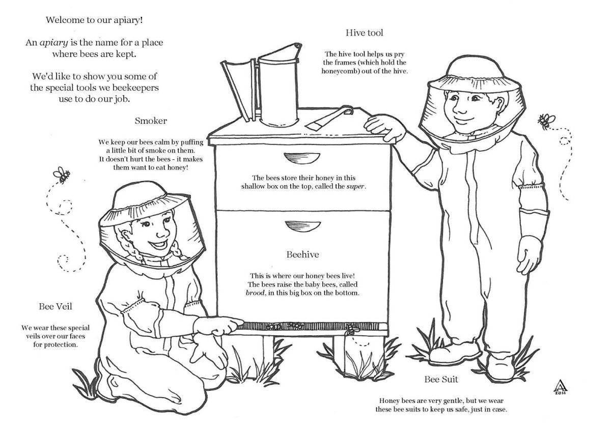Attractive beekeeper coloring page