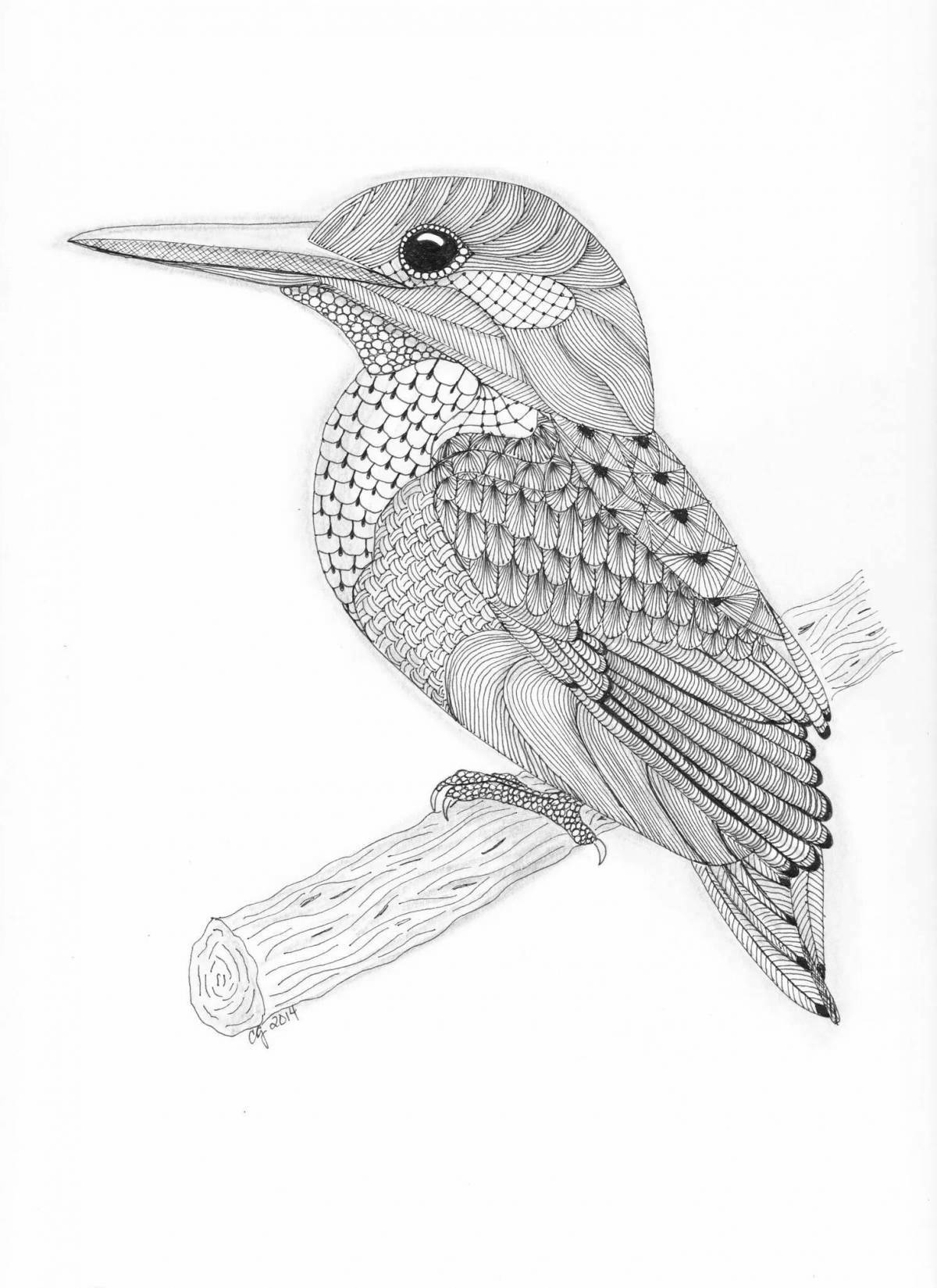 Bright kingfisher coloring page