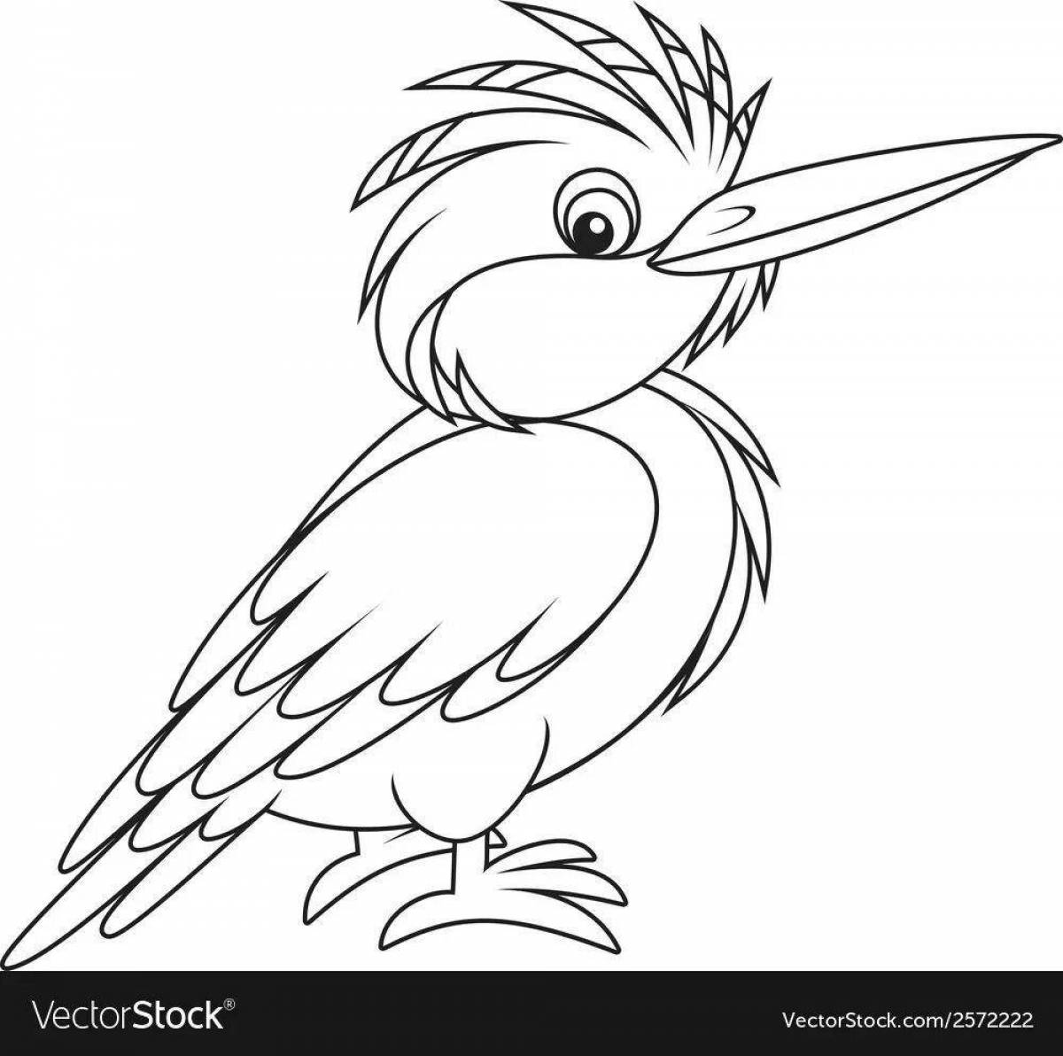 Coloring book magnificent kingfisher