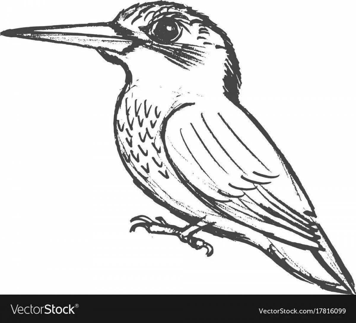 Shiny kingfisher coloring page