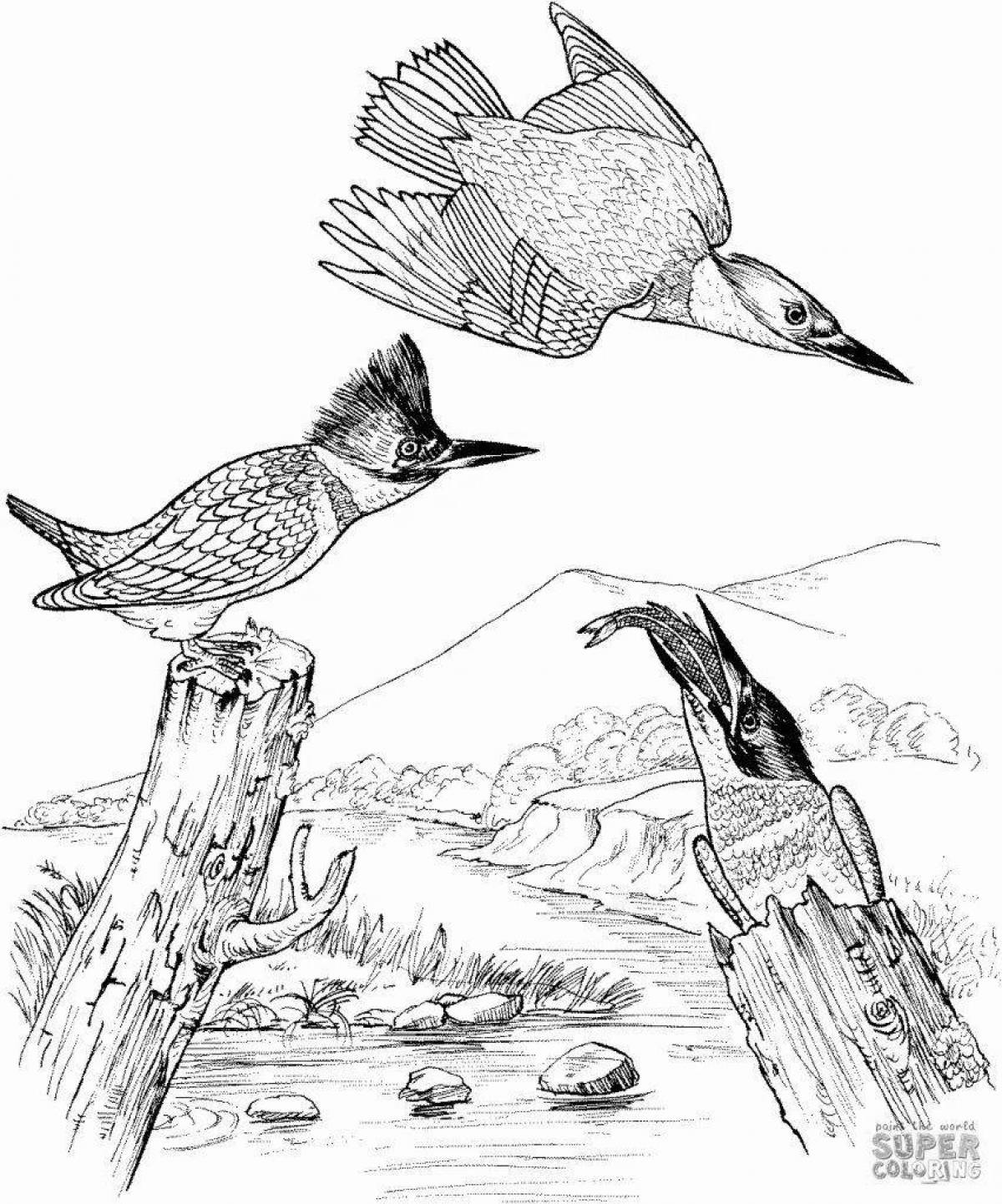 Awesome kingfisher coloring page