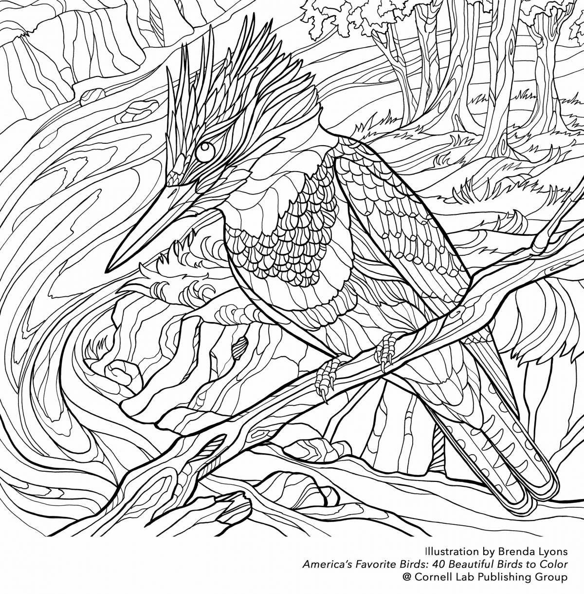 Adorable kingfisher coloring page