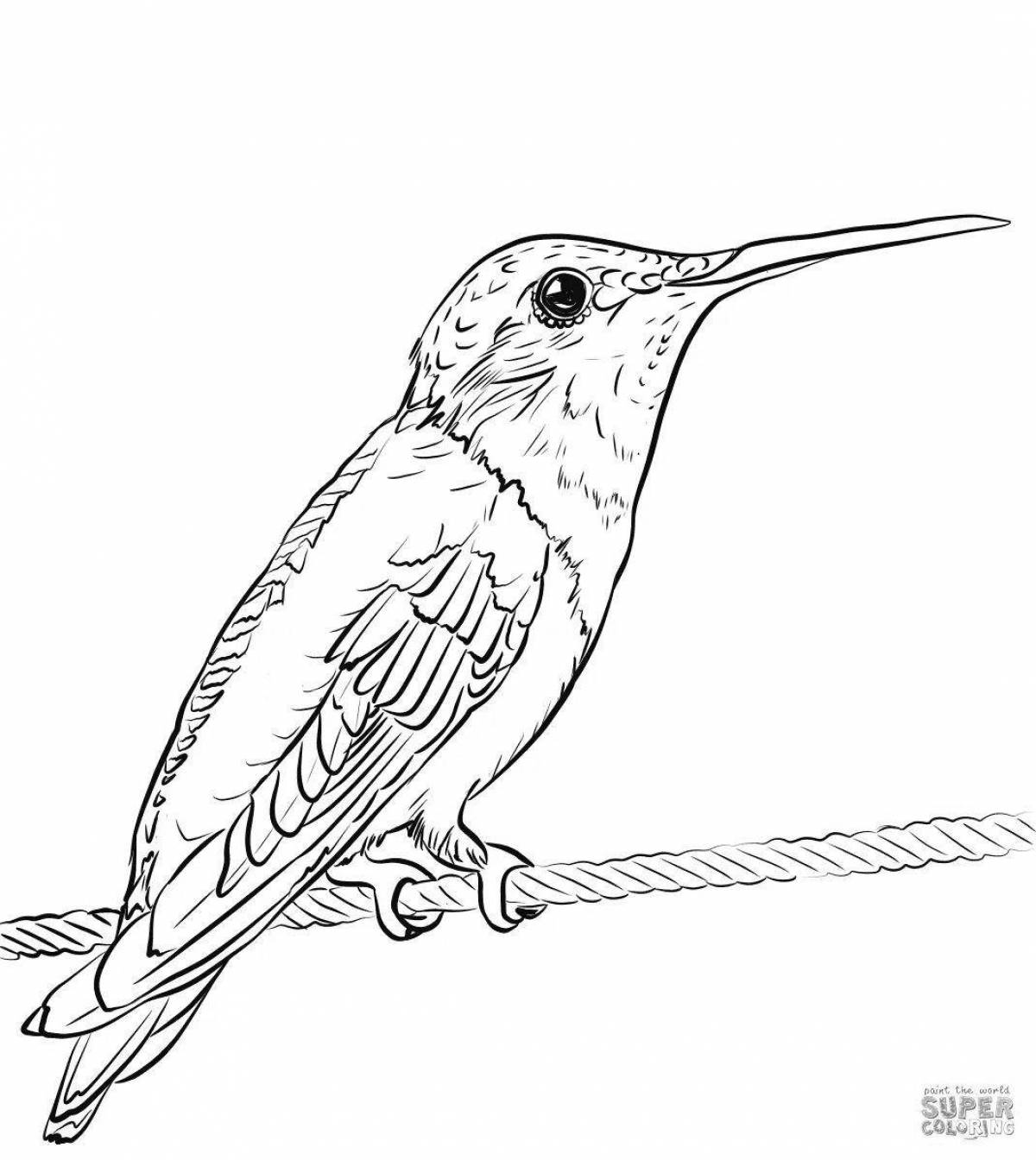 Coloring book happy kingfisher