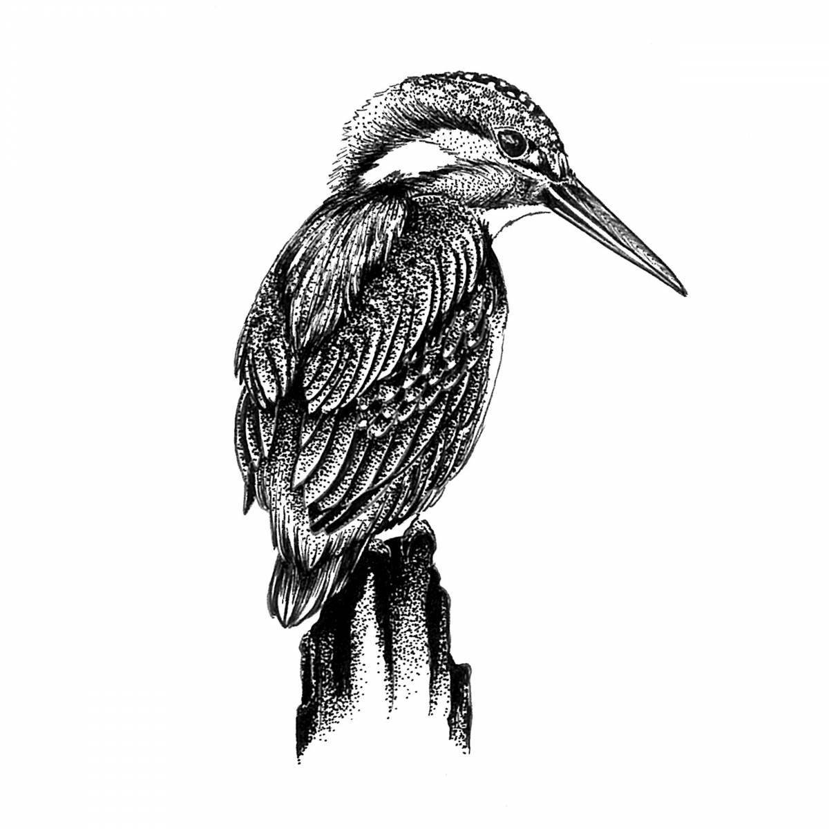 Coloring book cheerful kingfisher