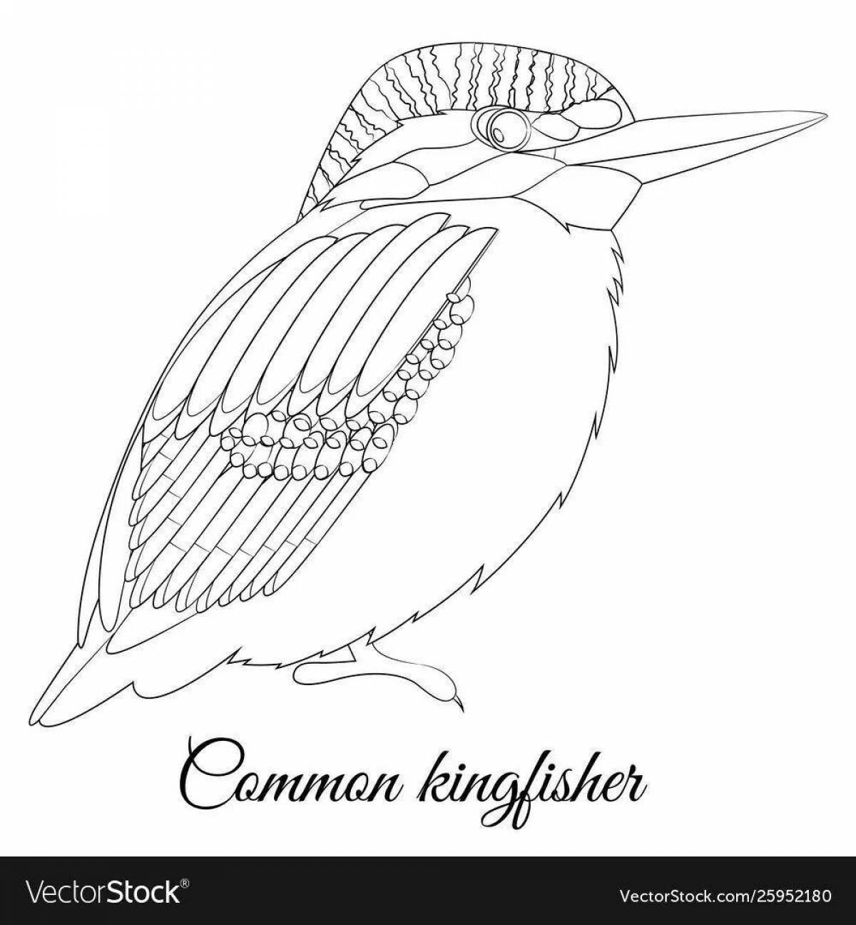 Coloring book bright kingfisher