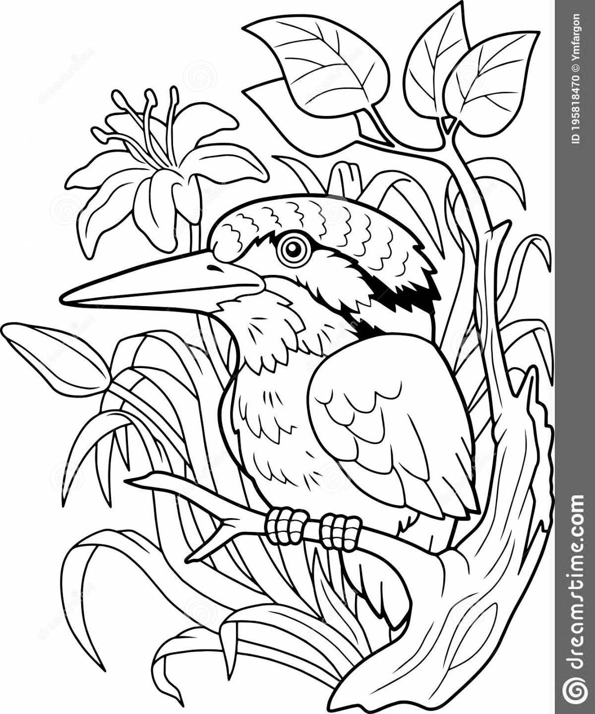 Kingfisher coloring page