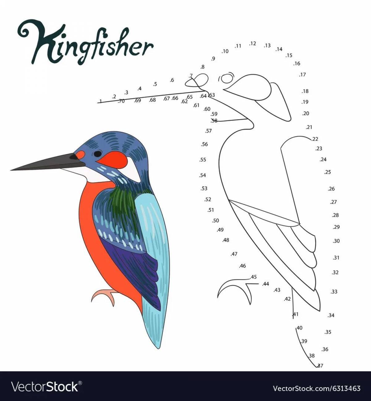 Fun coloring book kingfisher