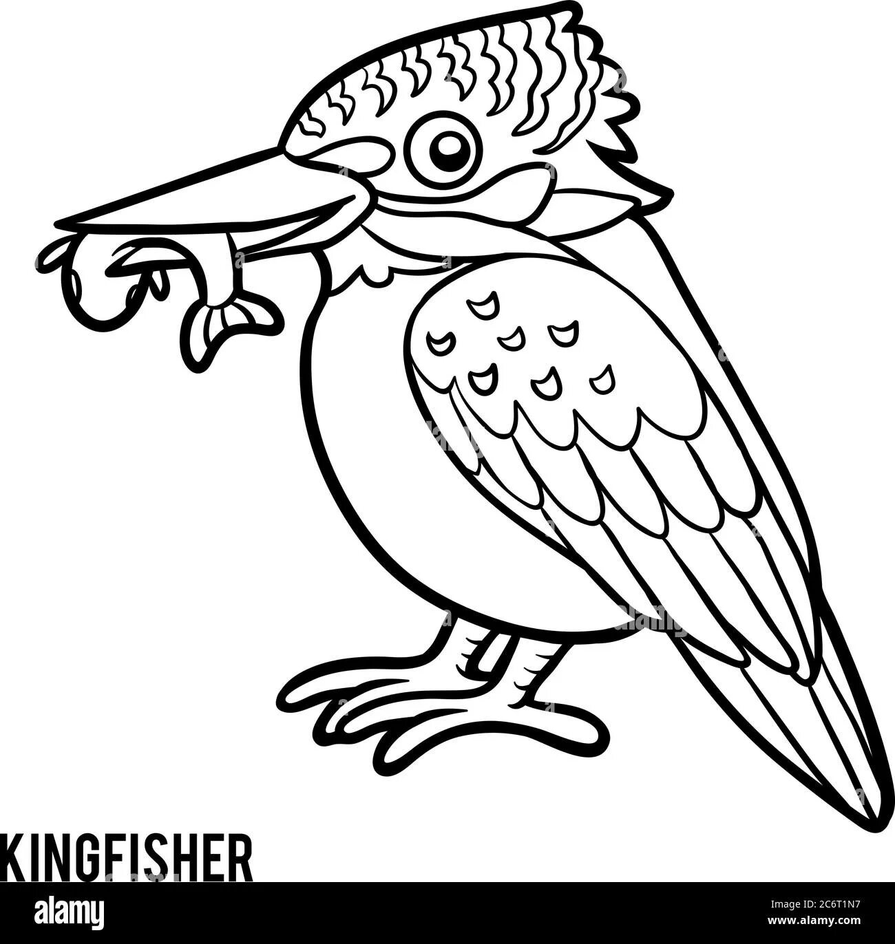 Coloring book hypnotic kingfisher