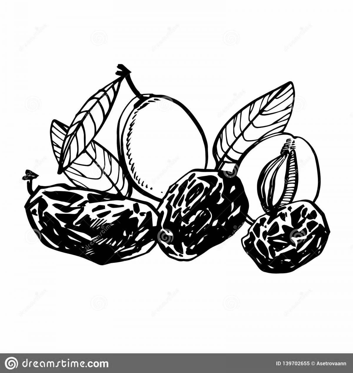 Colorful dried fruit coloring page