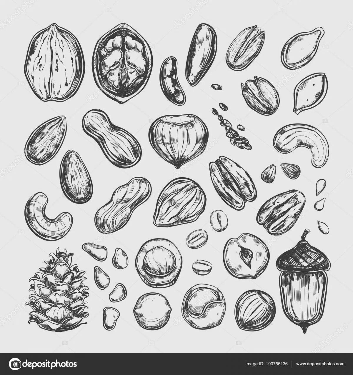 Holiday dried fruits coloring page