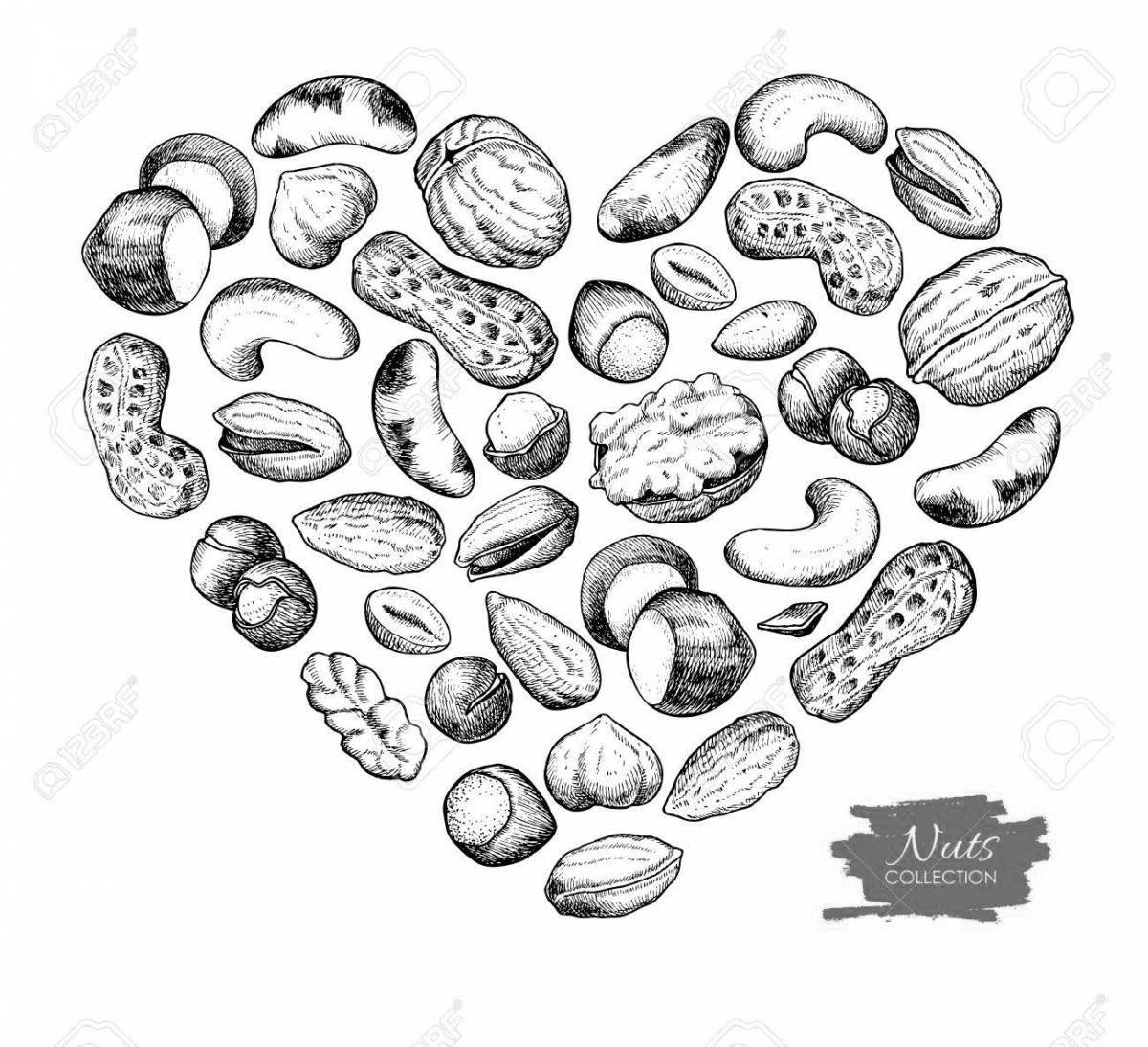 Dried fruits coloring page with colored splashes