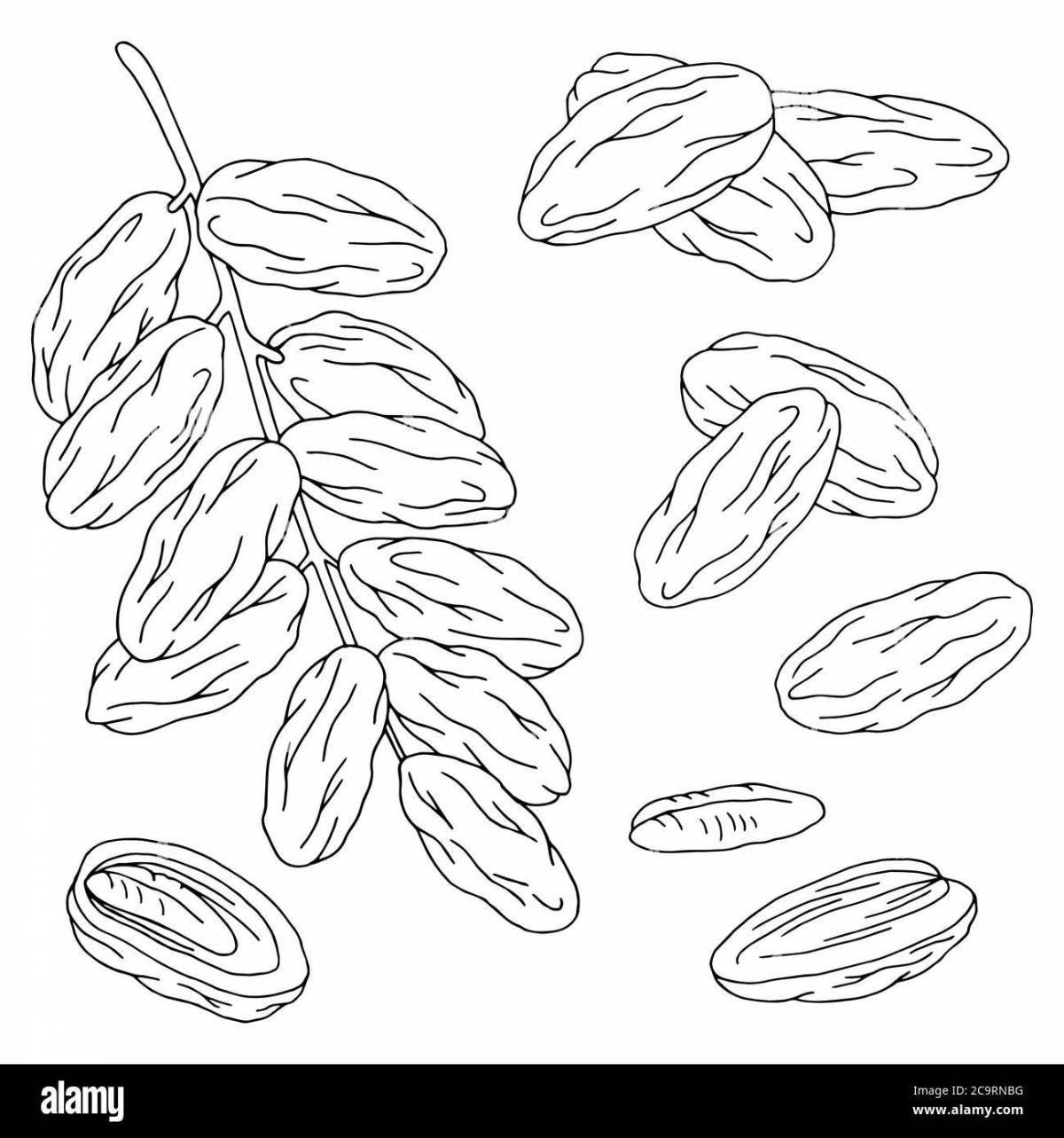 Juicy dried fruits coloring page