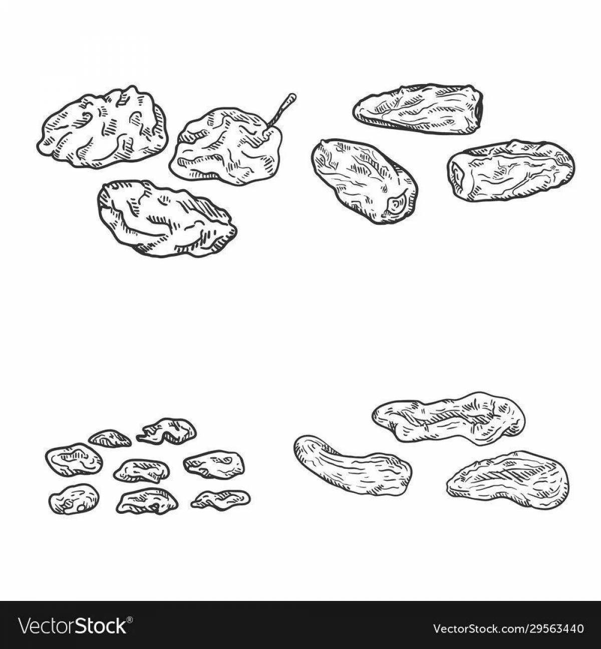 Colored illustrated dried fruit coloring page