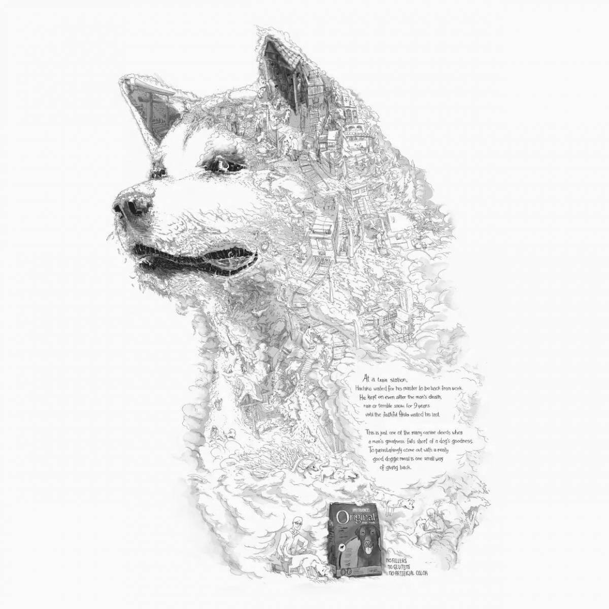 Coloring book shining hachiko