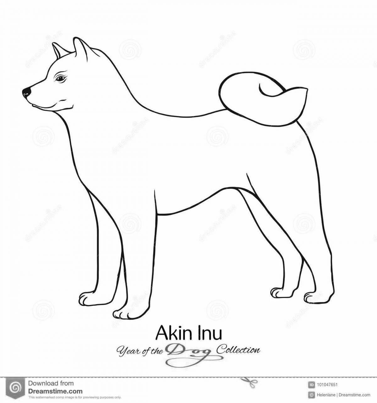 Hachiko live coloring page