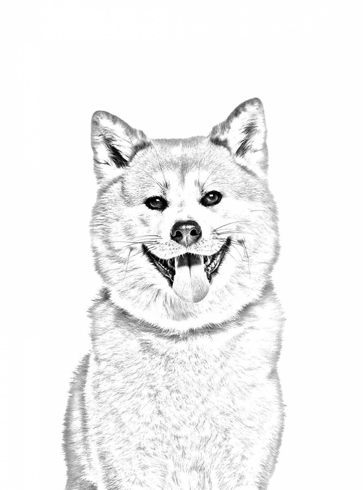 Coloring book energetic hachiko