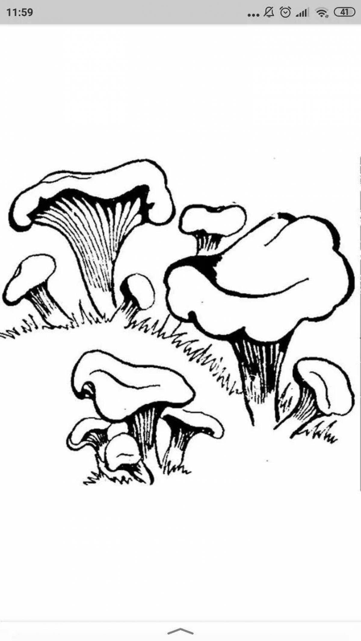 Brilliant chest coloring page