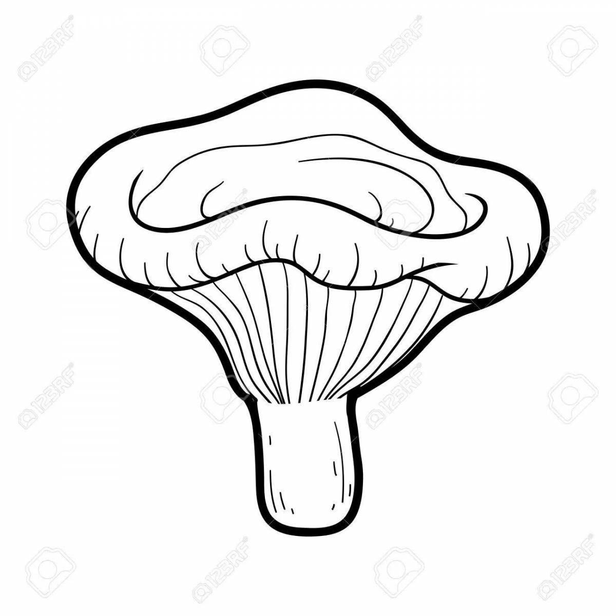 Gorgeous chest coloring page