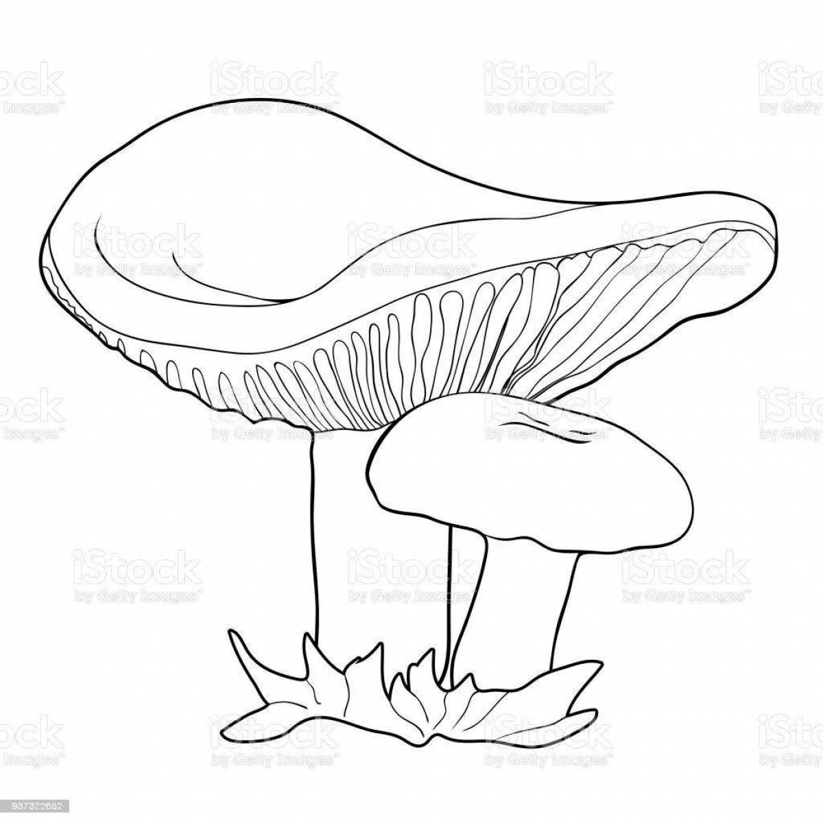 Coloring funny chest