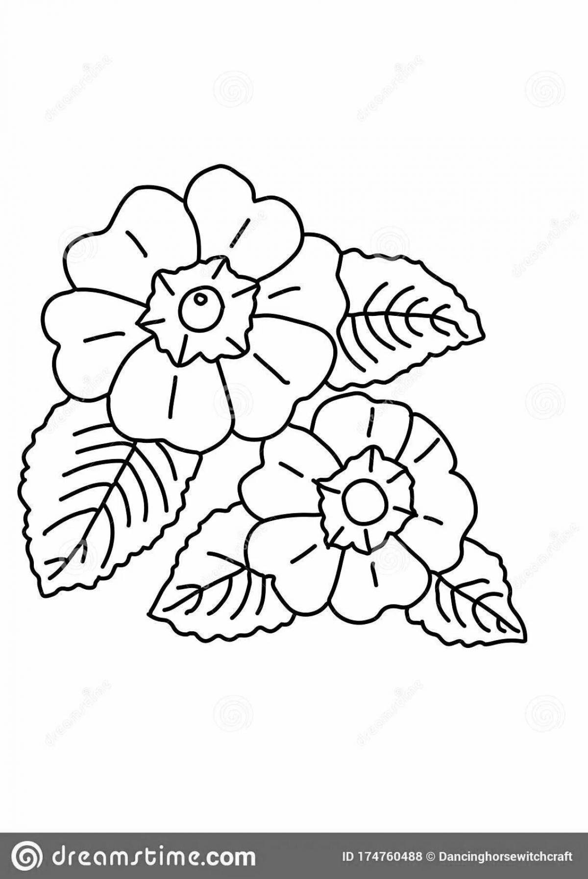 Coloring bright primrose