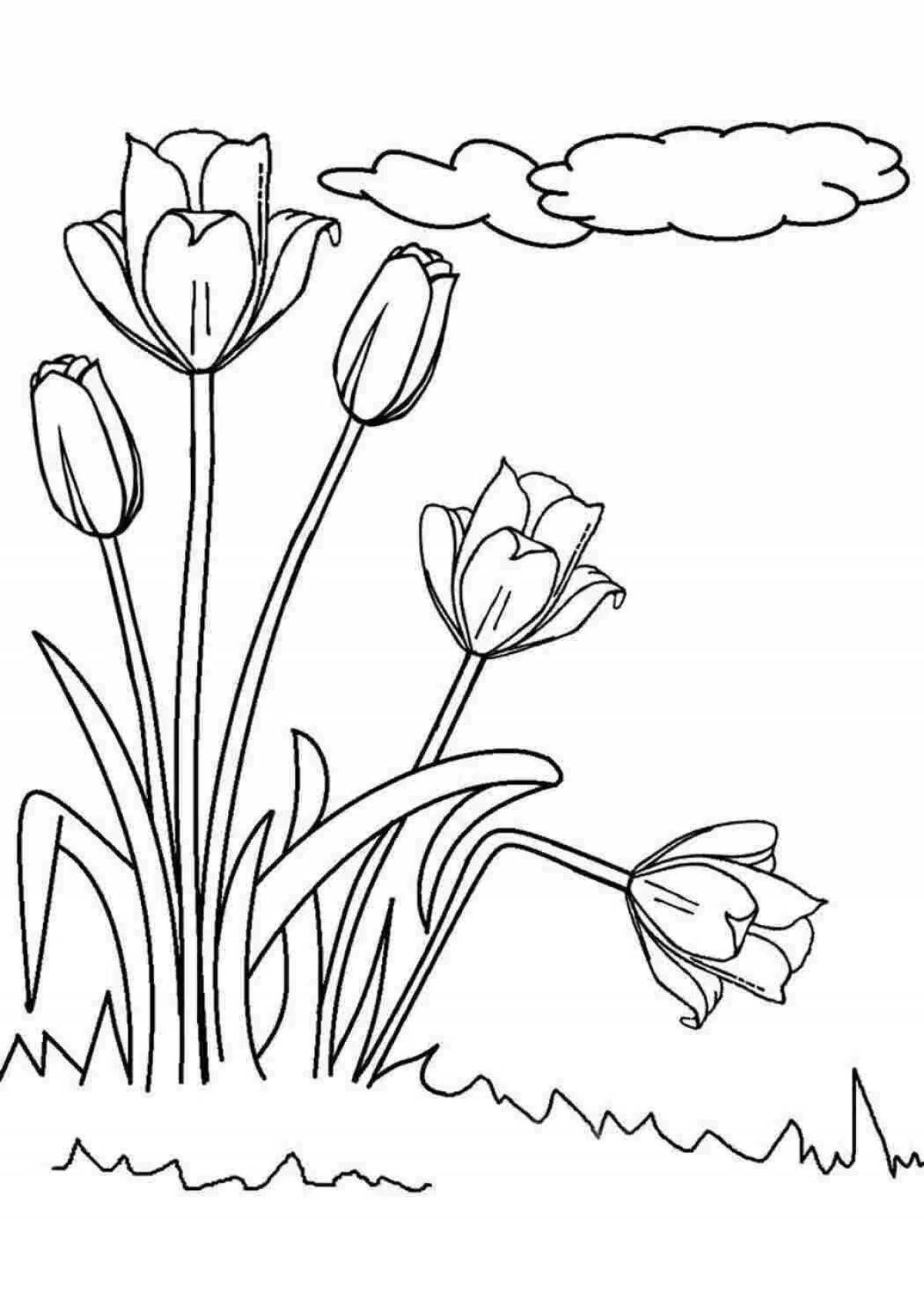 Gourmet primrose coloring page
