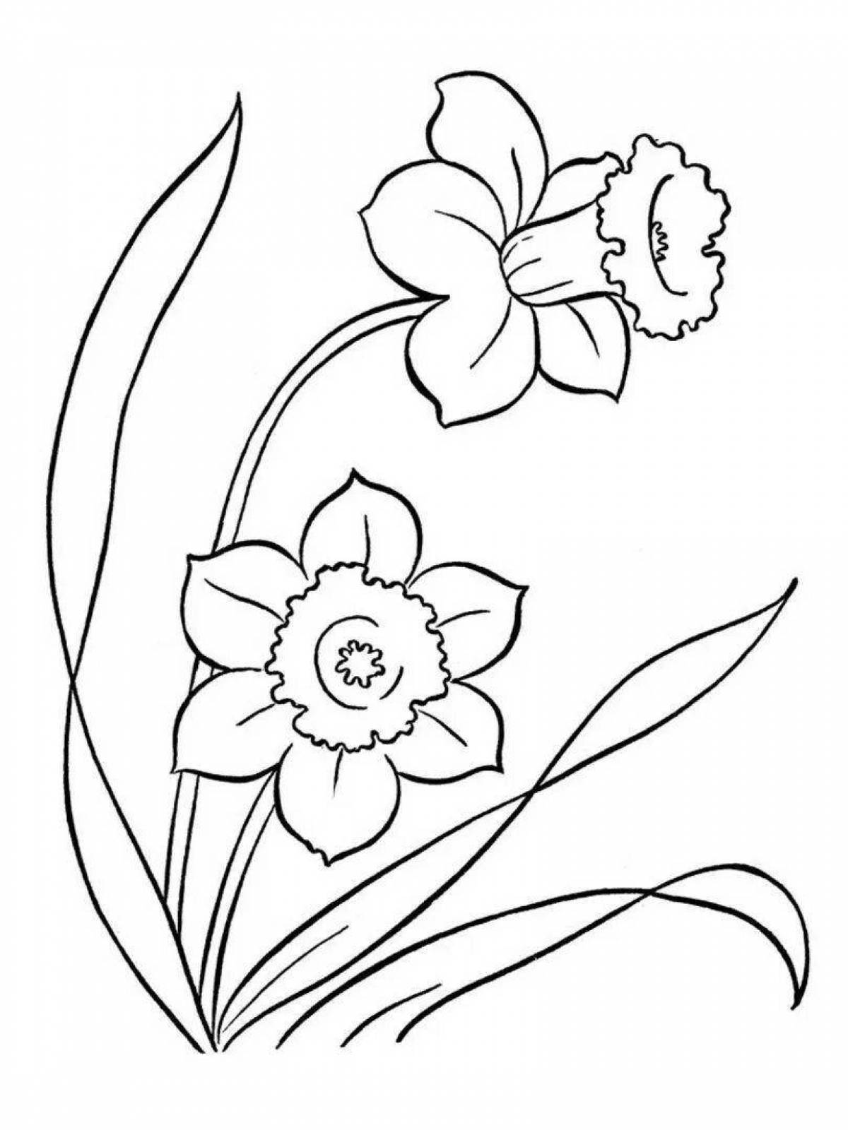 Coloring page beautiful primrose